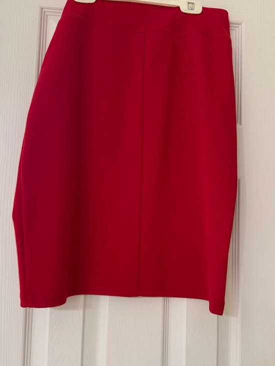 Style & Co. Dresses & Skirts - Style & Co. Red A-Line Skirt